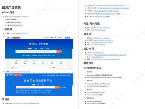 2024年網(wǎng)絡(luò)安全工程師技能手冊(cè) 從入門(mén)到實(shí)戰(zhàn)的全方位指南